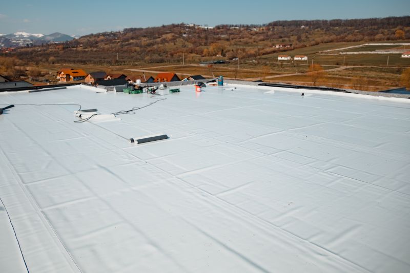 Epdm Roof with Seam Details